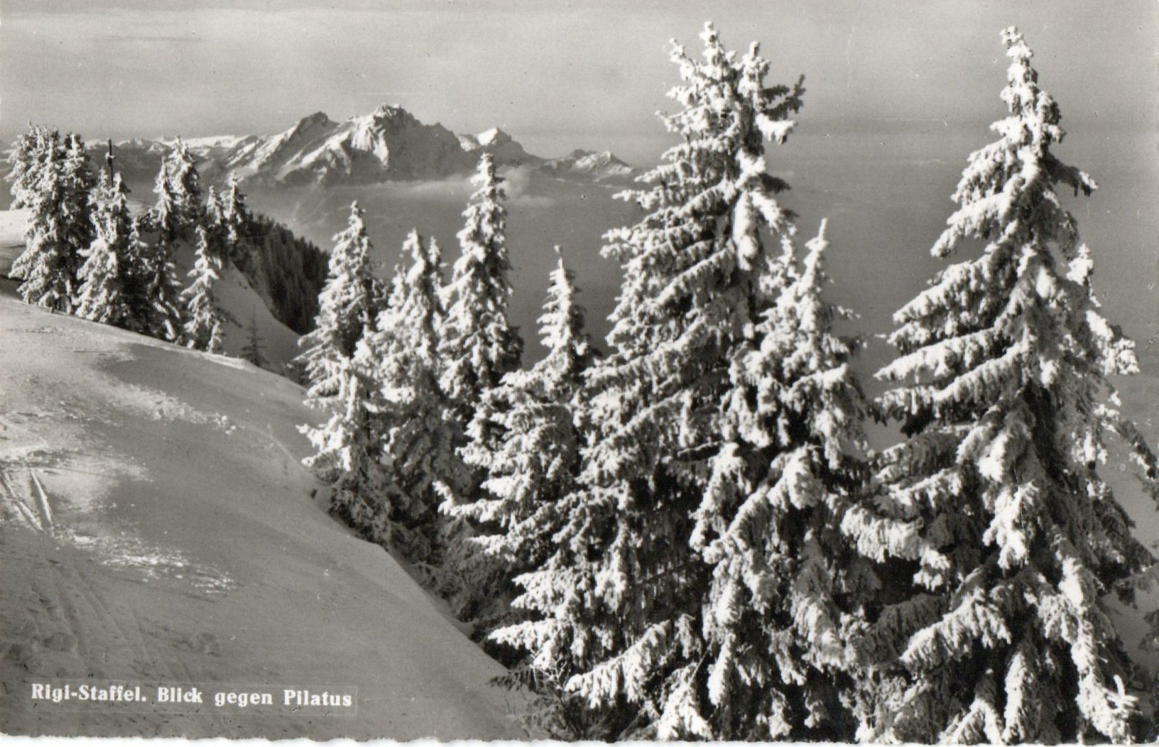 Cartoline postali: Rigi-Staffel - Blick gegen Pilarus – Usato da Melano venduto da pisonsdro