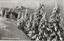 Rigi-Staffel - Blick gegen Pilarus