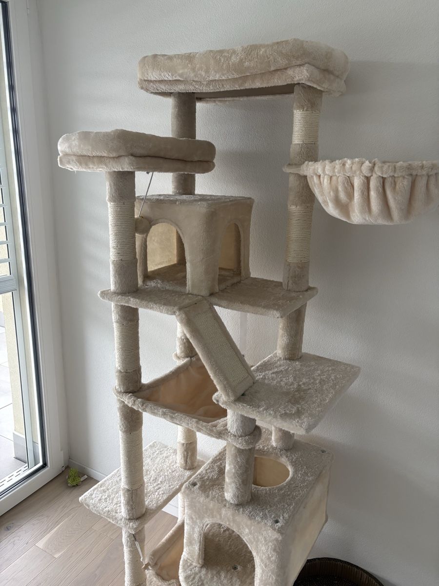 Tiragraffi: Kratzbaum Katzen 180cm beige – Nuovo (secondo la descrizione) da Lömmenschwil venduto da tmr_xx 3