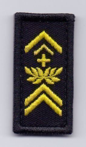 Schweizer Armee Plaketten & Abzeichen: Adjutant Unteroffizier Klett – Gebraucht aus Koblenz von Himmelsreiter