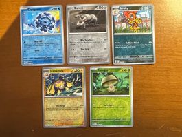 Pokemon Reverse Karten Set (Versand gratis)