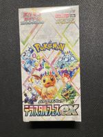 Pokemon Terastal Festival Display