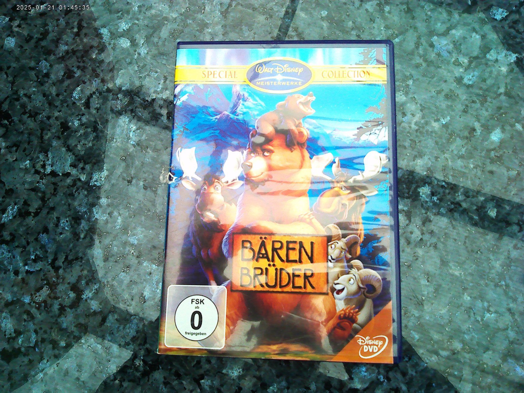Tutti i DVDs: DVD : Bärenbrüder – Usato da reitnau venduto da Sib7
