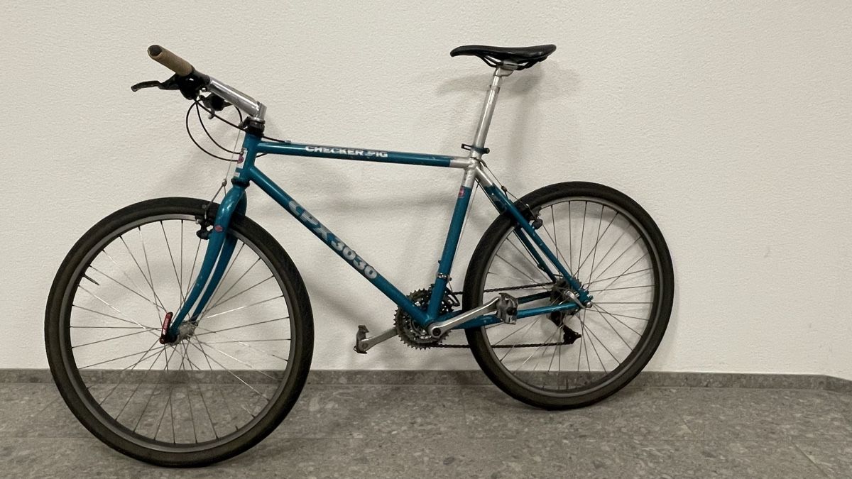 Checker Pig Biciclette: CheckerPig - Bicycle 48cm – Usato da Zürich venduto da mth_x7sd 2