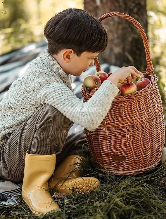 Sonstiges für Haushalt & Wohnen: Handgefertigter Weiden-Spielzeugwagen mit Rollen Naturfarb – Neu und originalverpackt aus Affeltrangen von b.fly. 4