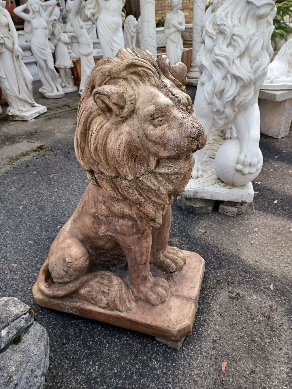 Statuette: Stein - Löwe braun – Nuovo (secondo la descrizione) da Wangen a.Aare venduto da Schneckenparadies 1