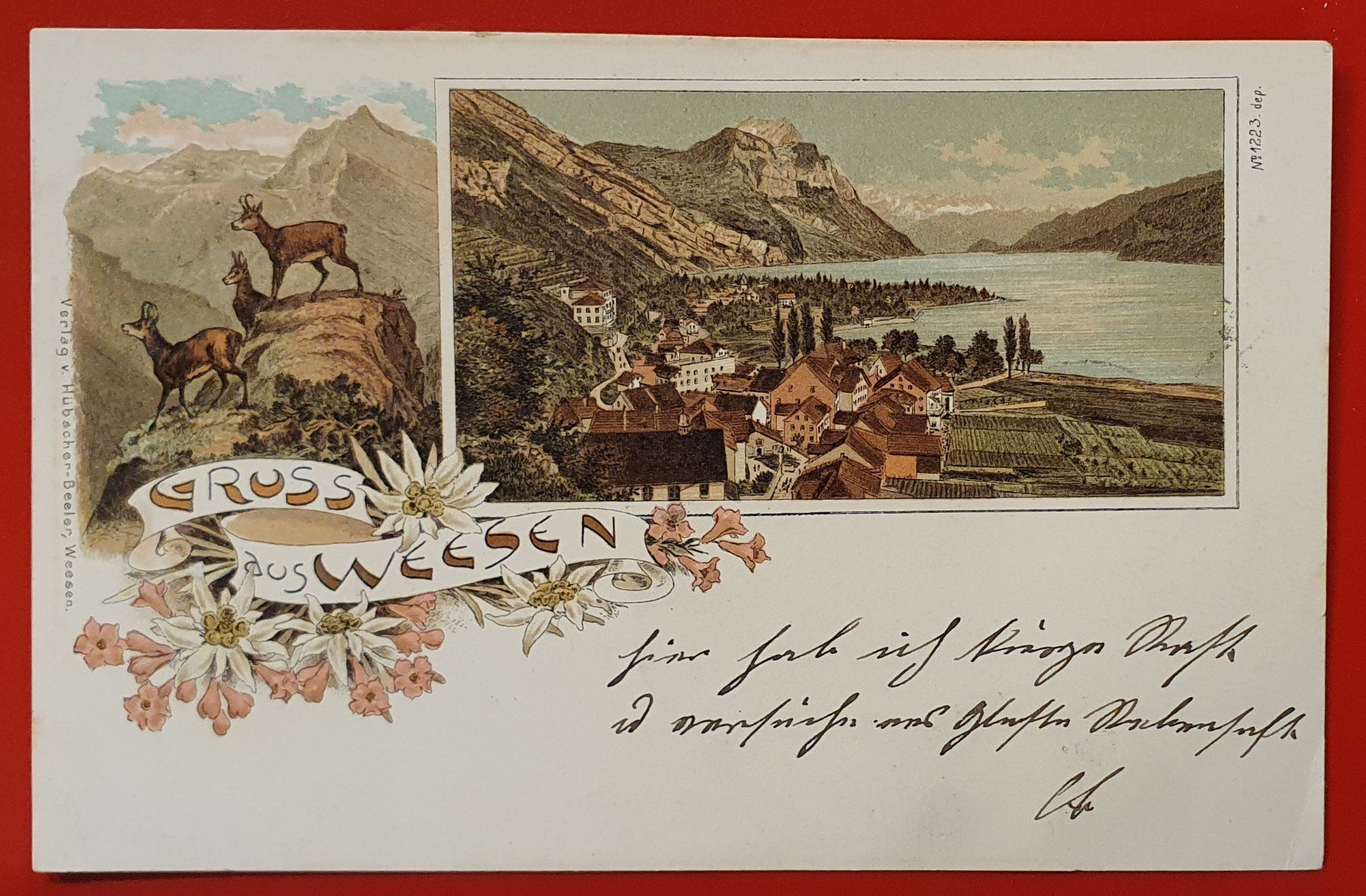 Cartoline postali: Gruss aus Weesen 1899 – Usato da Kreuzlingen venduto da Rschweiz1