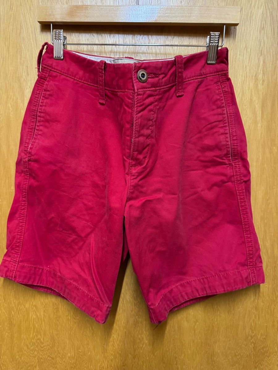 Hollister Pantaloni: Hollister Shorts, Gr. 28 – Nuovo (secondo la descrizione) da Füllinsdorf venduto da hl.99