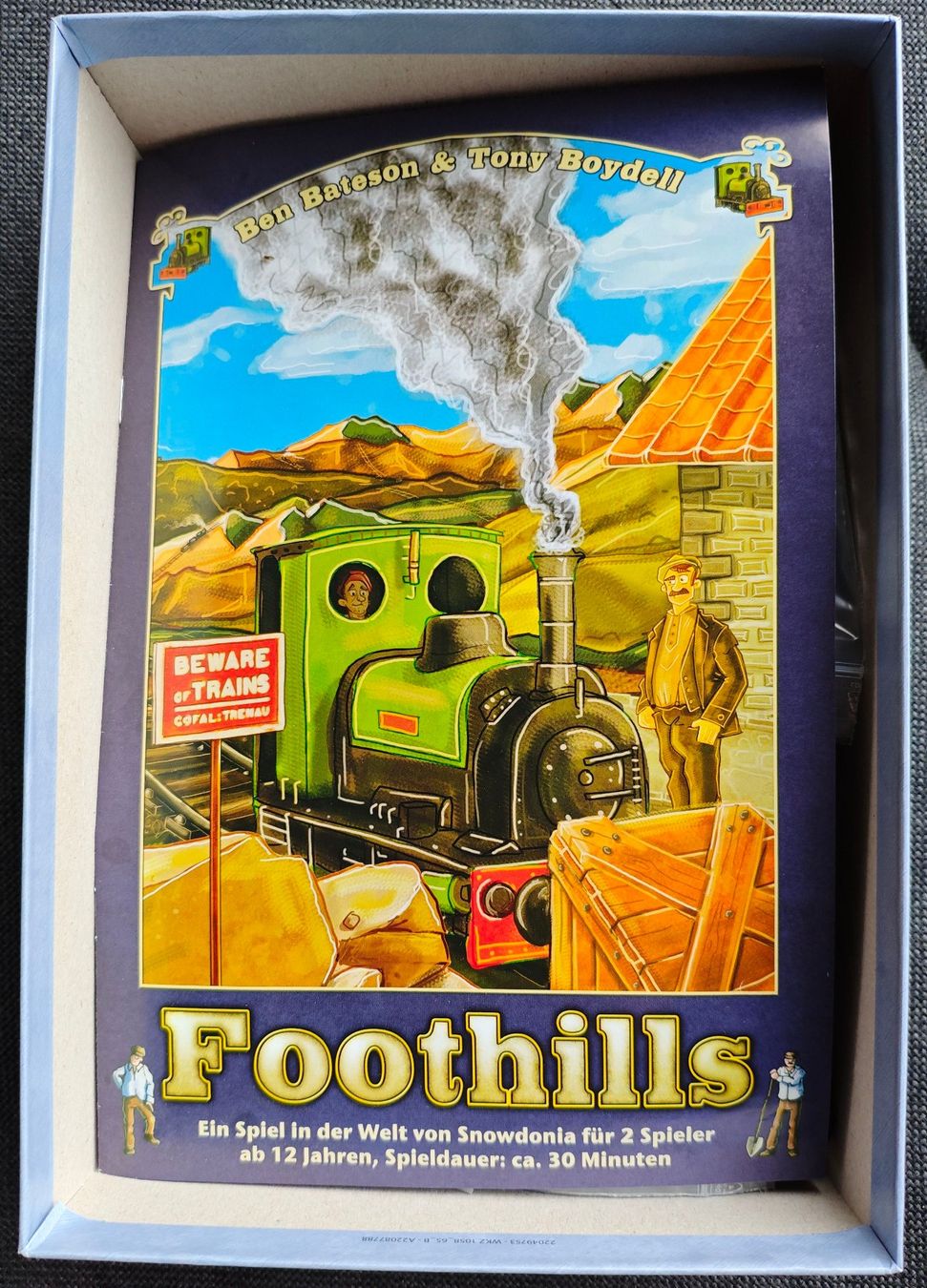 Giochi: Foothills Brettspiel Boardgame – Usato da Biel/Bienne venduto da DomiMooser 2