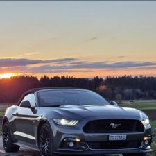 Profile image of Mustang12