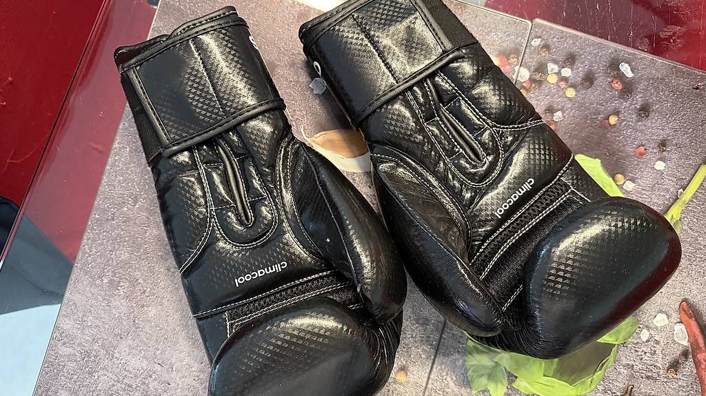 Adidas Guanti & manicotti: Guantoni da boxe Adidas mai usati – Nuovo e nell'imballaggio originale da Rivera venduto da xvisio 2