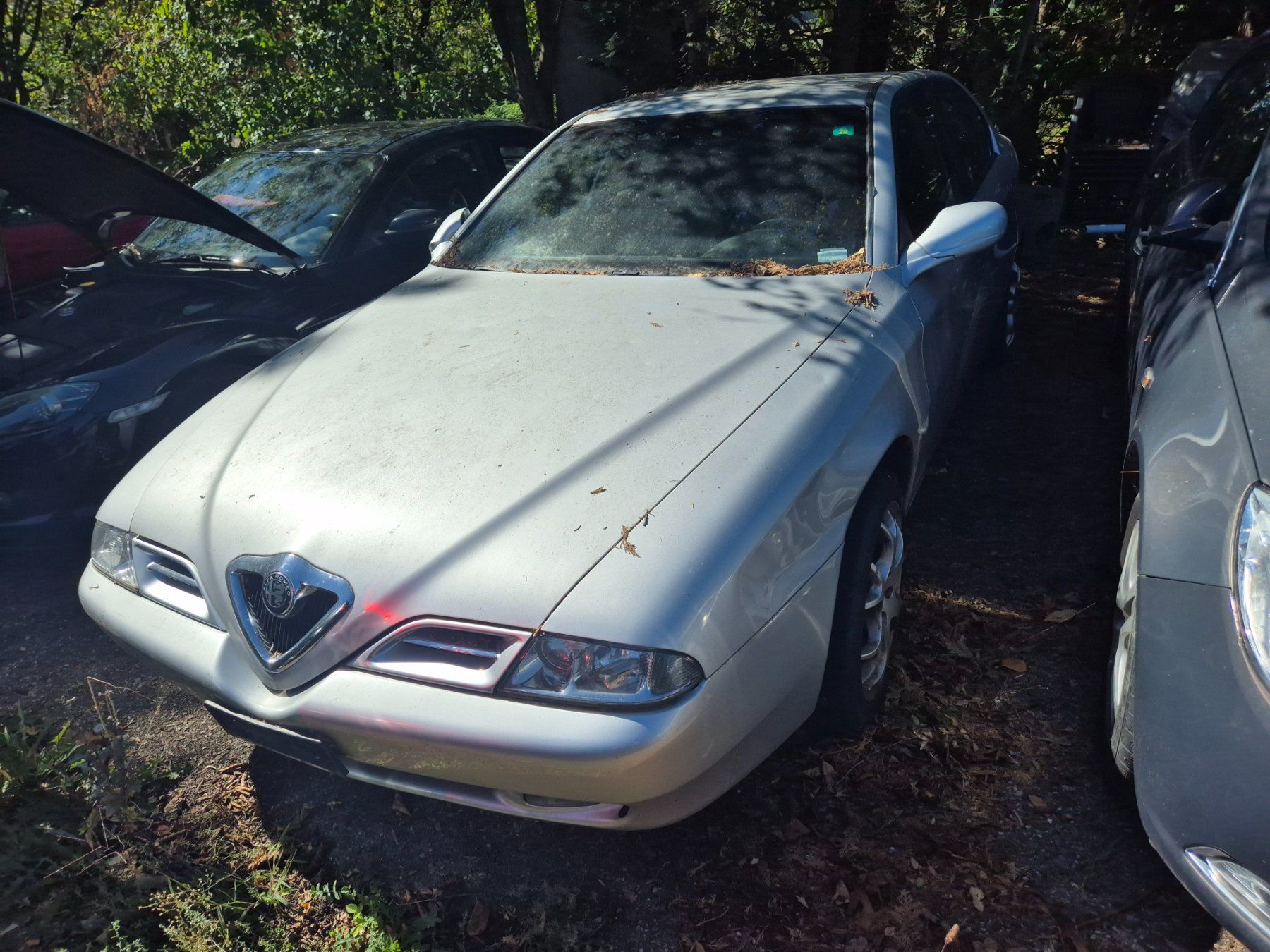 Alfa Romeo Automobili: alfa romeo166 – Usato da Winterthur venduto da ama_6wzm