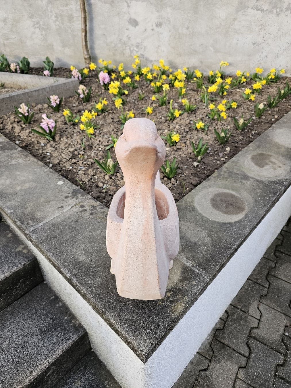 Vasi per fiori: Blumentopf Terracotta Schwan – Usato da Villnachern venduto da hasta08 6