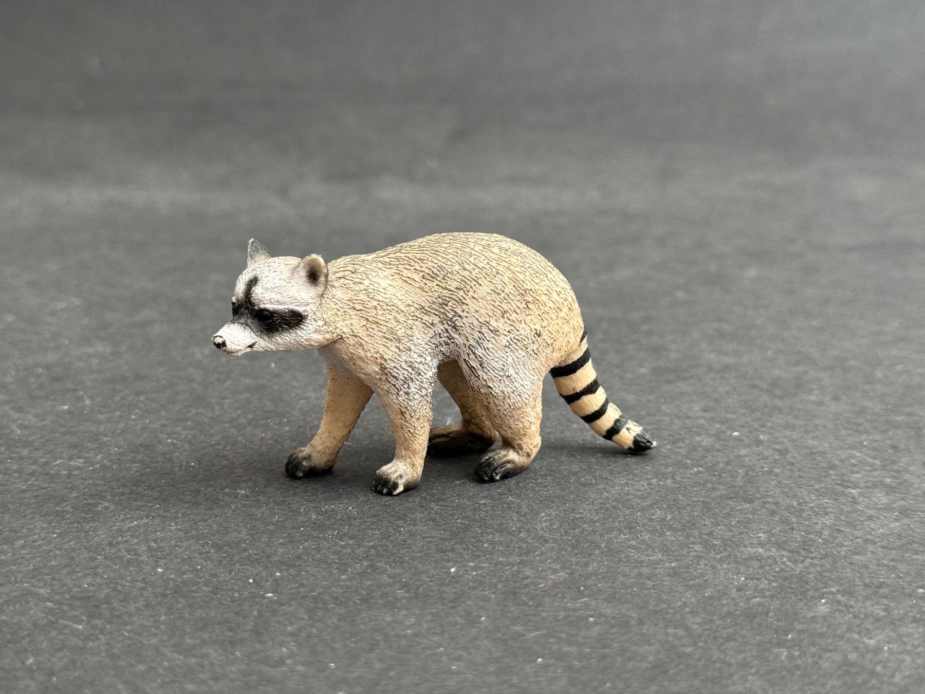 Schleich Statuette: Schleich 14828 Waschbär – Usato da Ennetbaden venduto da mapa05