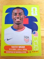 Panini FIFA World Cup USA 12