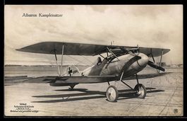 Foto-AK Sanke Nr. 1045: Albatros Kampfei
