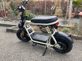 Elektro Scooter / Roller / Elektro / Coopop / KL Piper