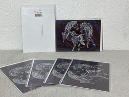 6 Original Pferde Karten Set mit Umschlag, Neu, Top!