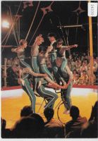 Jugend Circus Basilisk
