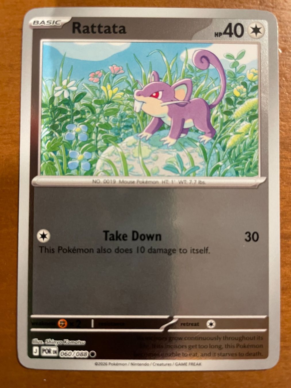 Pokémon Carte collezionabili: Pokemon Rattata Reverse (Versand gratis) – Nuovo (secondo la descrizione) da Chur venduto da Angerson