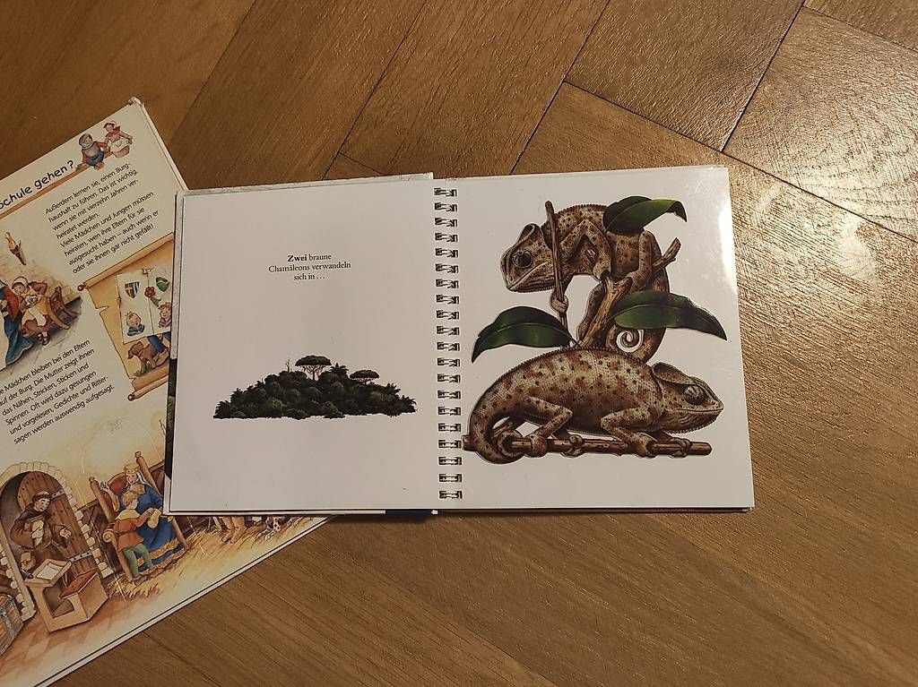 Bücher: Kinderbücher – Gebraucht aus Zürich von jeu_szl9 2