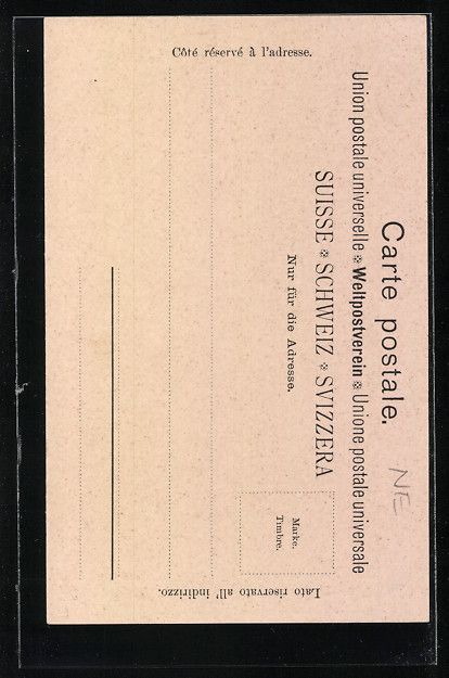Ansichtskarten: AK Bevaix, Souvenir, Panorama – Gebraucht aus Berlin von bartko-reher 1