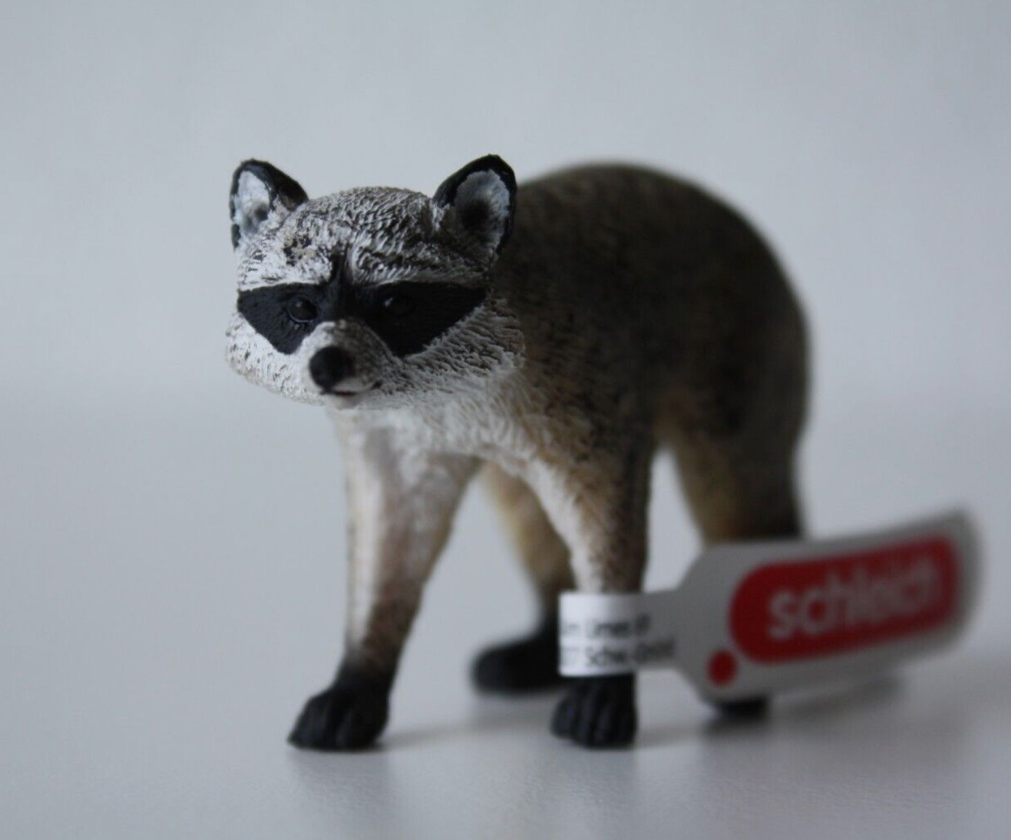 Schleich Spielzeuge: schleich 17109- Waschbär – Neu und originalverpackt aus Wagenhausen von M.Sieg