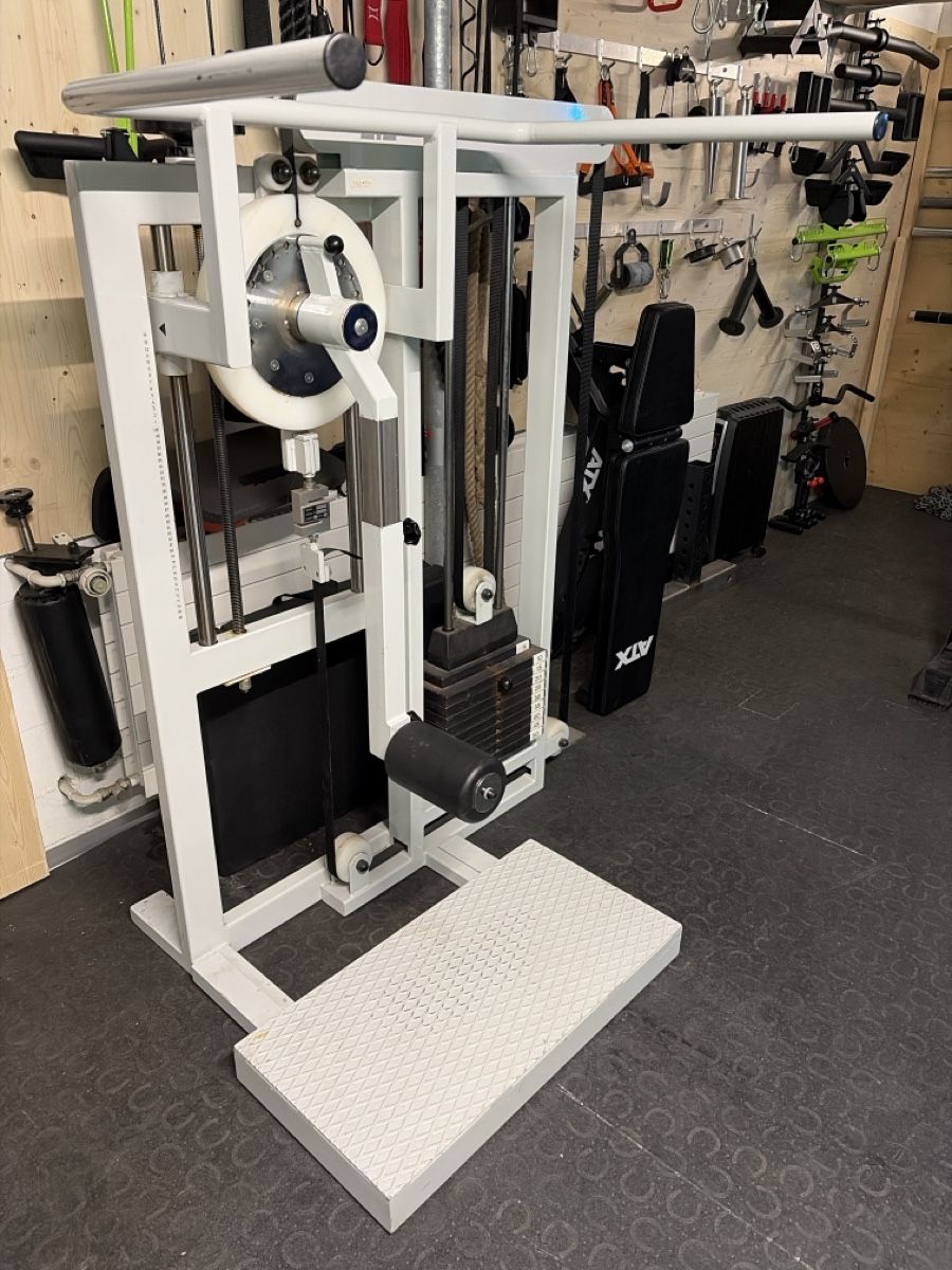 Hometrainer: Single Stack Multi-Hip Kraftmaschine – Top Zustand – Usato da Zeihen venduto da Buntpower
