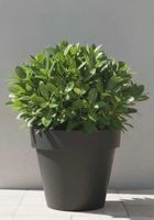 Vasar Pflanztopf Blumentopf Anthrazit Grösse XL Neupr. 30,-