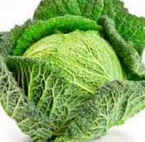 Ab 5.- fr !!! 20 Samen Mantuanischer Kohl “VERZA”‪
