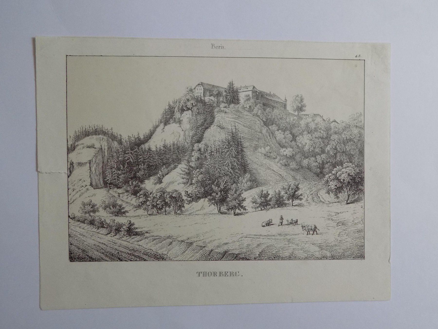 Incisioni: Thorberg Lithographie Wagner – Usato da Risch venduto da Antikfee 1
