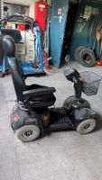 Mobilitätsroller/Seniorenmobil