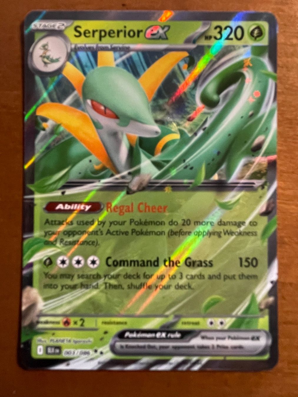 Pokémon Carte collezionabili: Pokemon Serperior eX (Versand gratis) – Nuovo (secondo la descrizione) da Chur venduto da Angerson