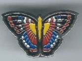 Schmetterling PIN