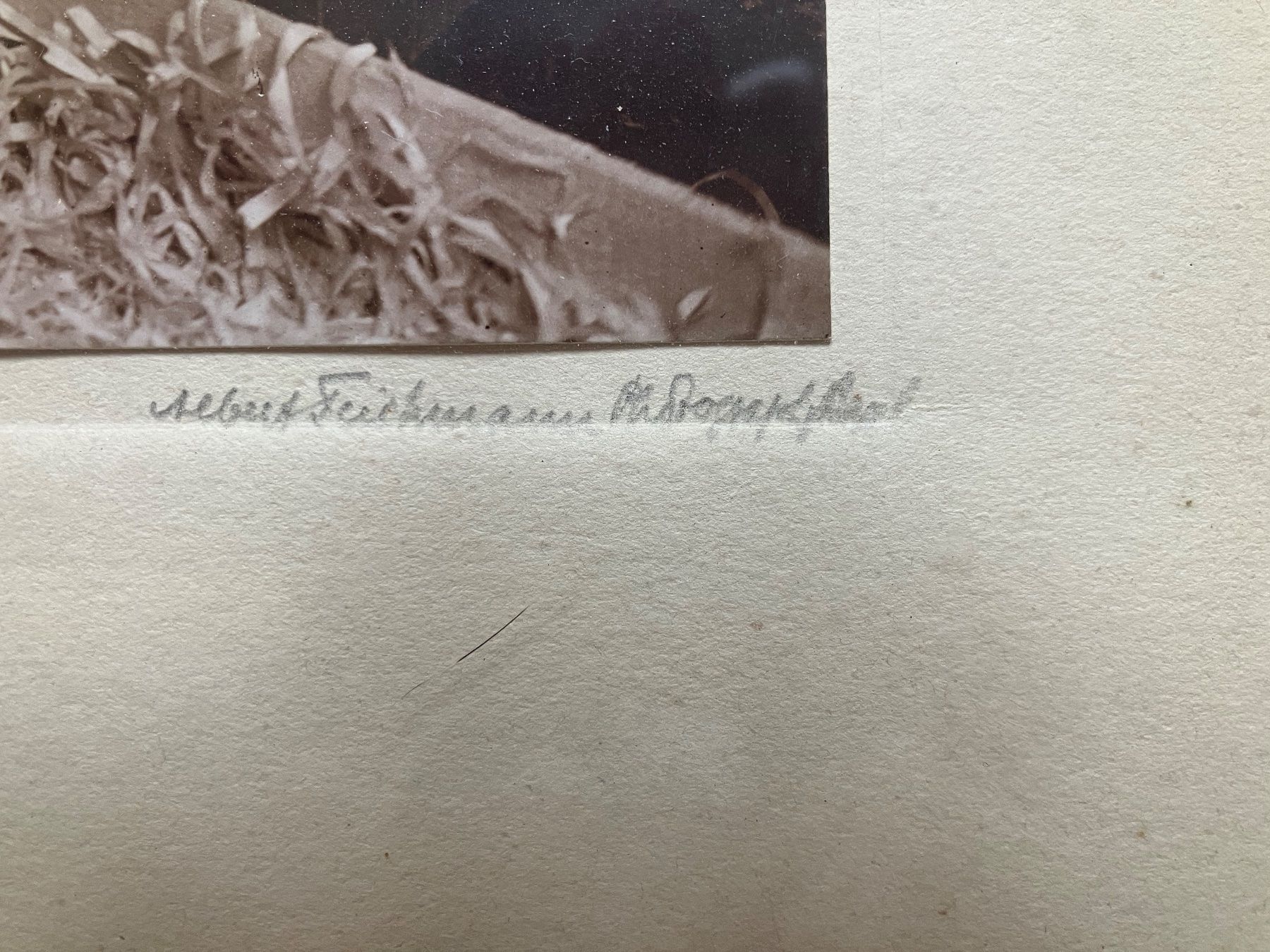 Foto & Immagini: Original Fotographie Albert Teichmann 1931 – Usato da Basel venduto da papageientulpe 2