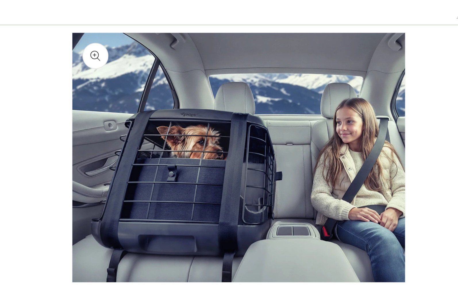 4pets Gabbie, trasporto & Sicurezza: Hundobox fürs Auto NEU – Nuovo (secondo la descrizione) da Rapperswil SG venduto da Mamapeg 6