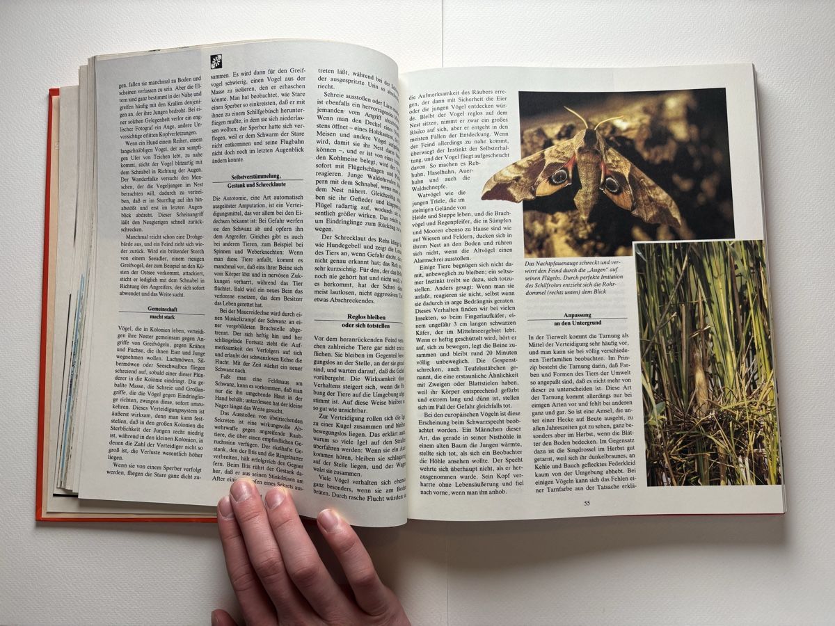 Libri: Das große Reader’s  Digest Jugendbuch - 22. Folge – Nuovo (secondo la descrizione) da Meggen venduto da BookRevivals 6