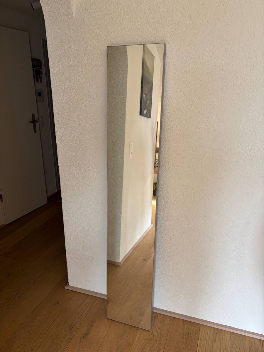 Specchi: Spiegel 164x30cm – Usato da Oberentfelden venduto da mpg_yq6t
