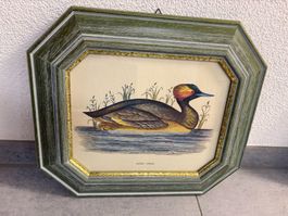 38.5 cm breit x 33.5 cm hoch Vogelbilder 2er Set Vintage
