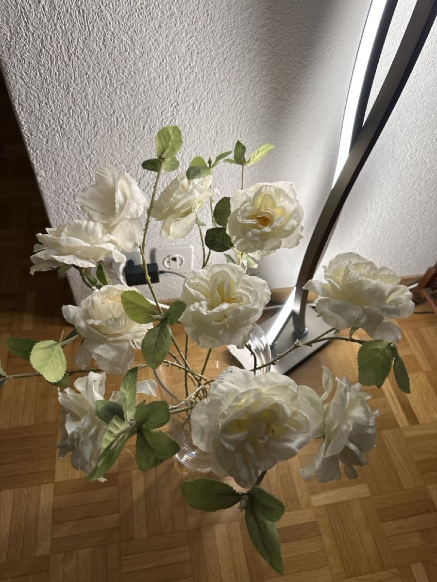 Tutte le decorazioni: Dekoration – Usato da Stäfa venduto da Iketiw13