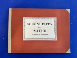 Schönheiten der Natur. Ein Bilderbuch von Niklaus Stoecklin