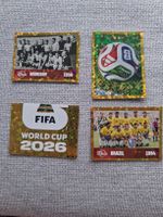 Panini starter bundle erste seiten