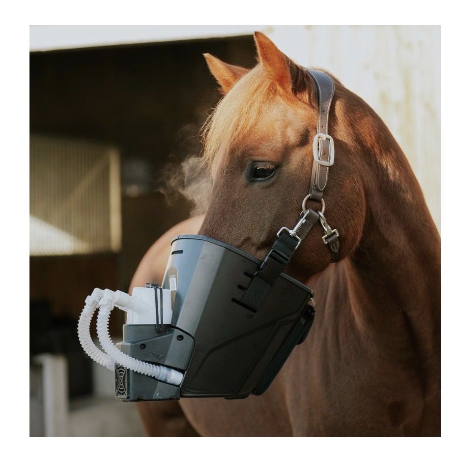 Attrezzature mediche: Equosonic free / Inhalator / Hartwig / NEU – Nuovo e nell'imballaggio originale da Rümlang venduto da Spassoa