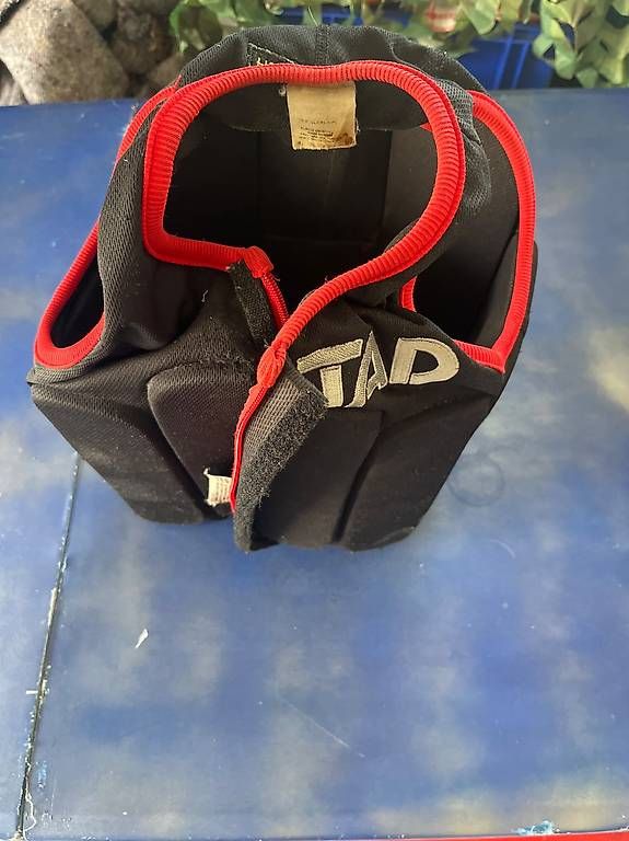 Go-Kart: Kart Rippenschutz DMSB TAD – Usato da Dürrenäsch venduto da PRTrade 2
