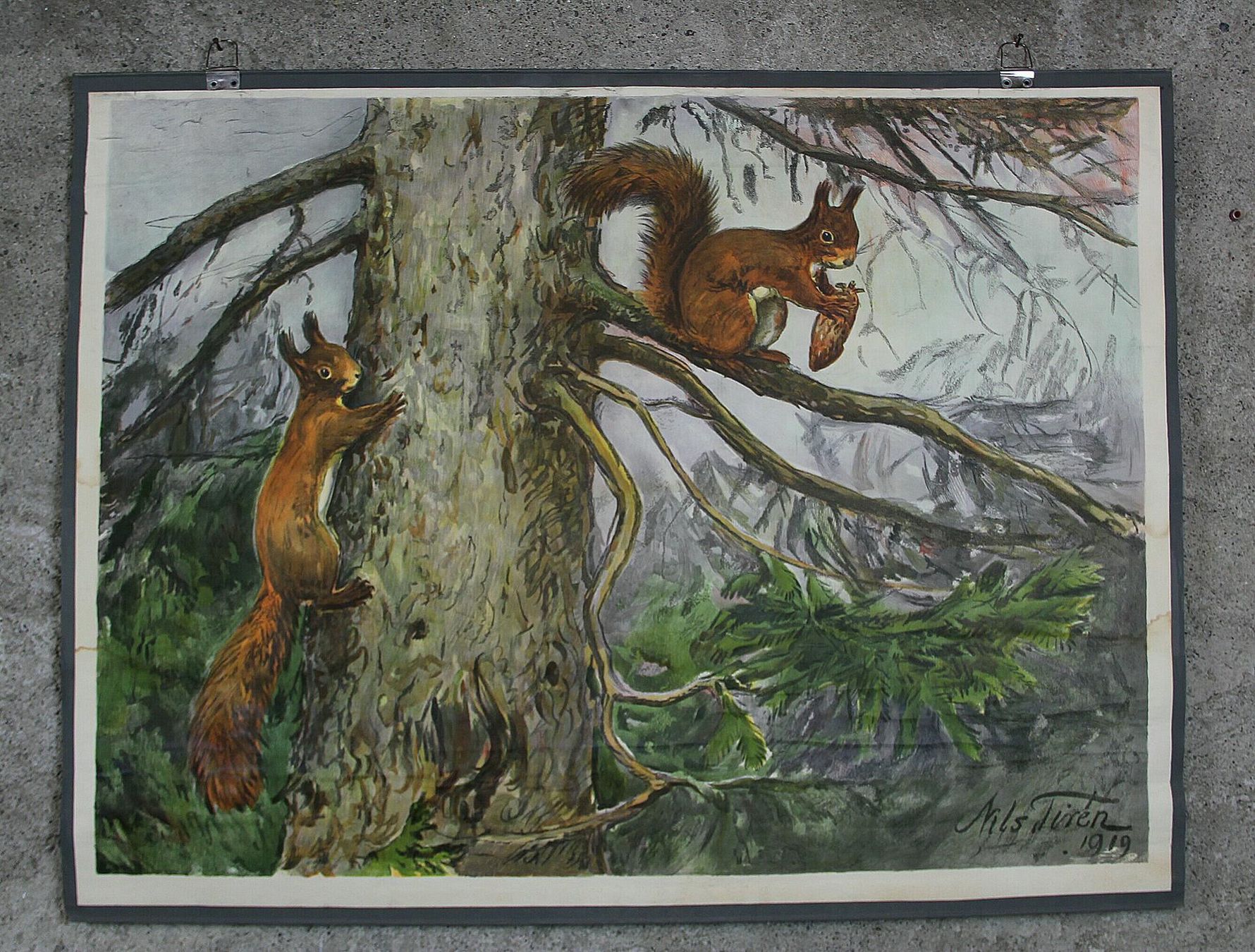 Posters & Illustrations: Schulwandbild "Eichhörnchen" Nils Tiren – D'occasion à Birrwil par brandschatz_birrwil
