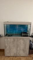 Grosses Aquarium mit Zubehör - Ideal für Aquaristik-Fans!