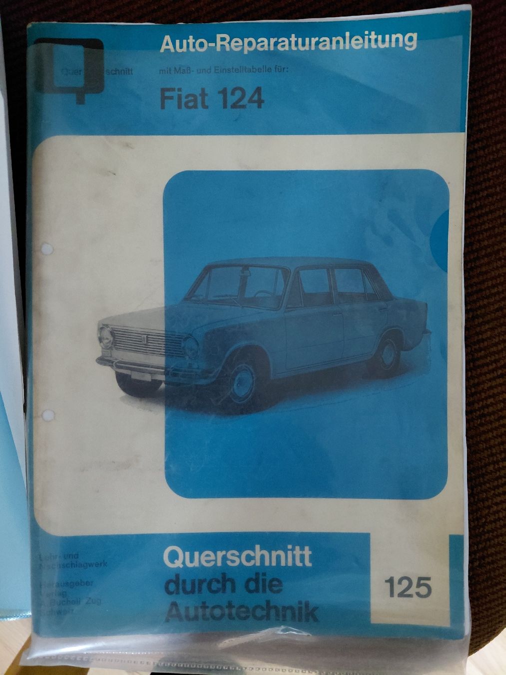 Fiat Autos: FIAT 124 OLDTIMER – Gebraucht aus WIDNAU von Zirni0 7