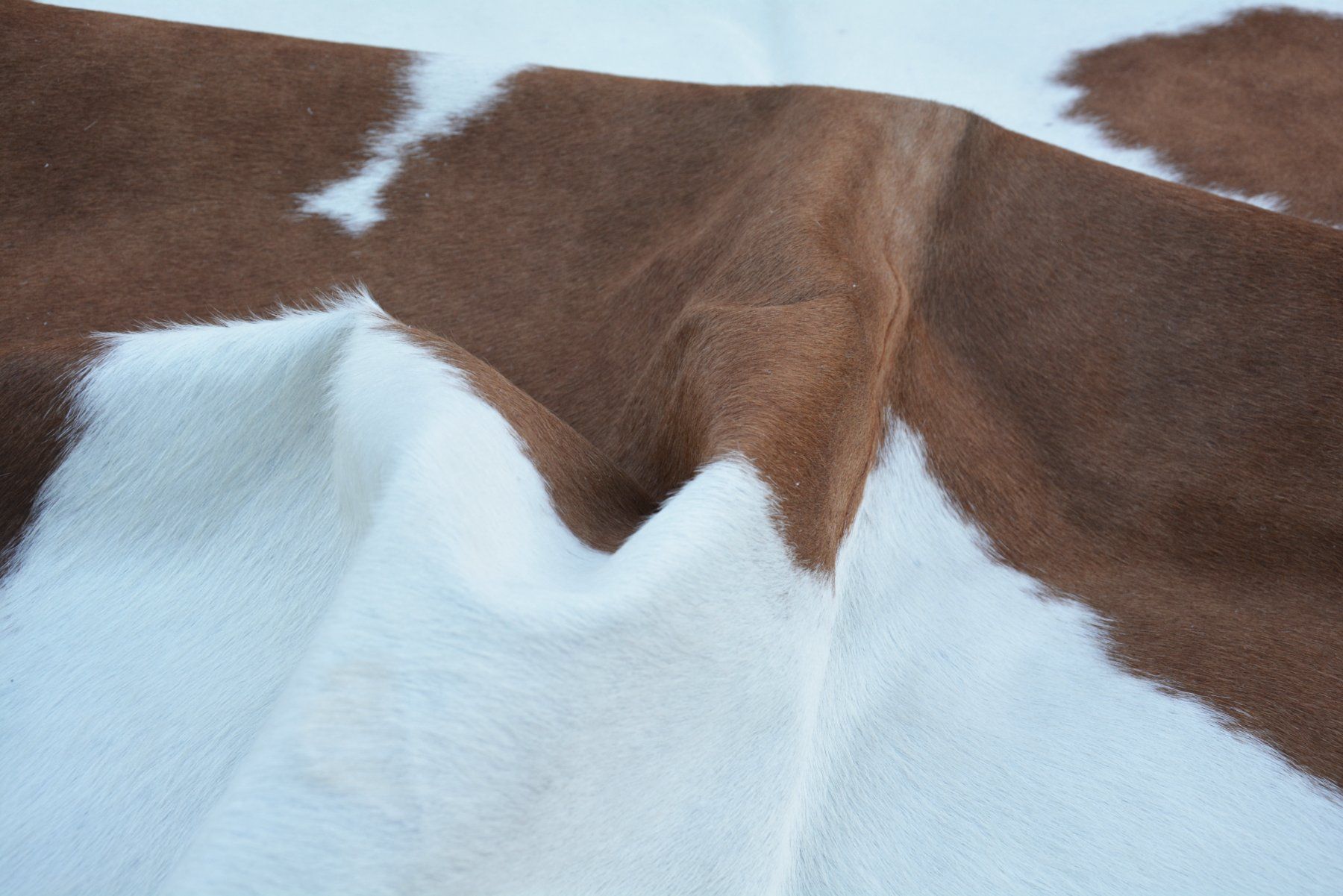 Tappeti: echtes Kuhfell Teppich Brown/white – Nuovo e nell'imballaggio originale da Arbedo venduto da patagonialeatherrugs 1
