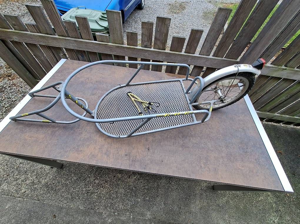 Rimorchi: Bob Yak Veloanhänger – Usato da Seon venduto da safri02 1