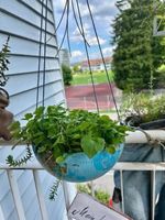 Blumen in der Weltkugel 